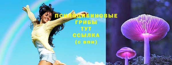 МДПВ Абдулино