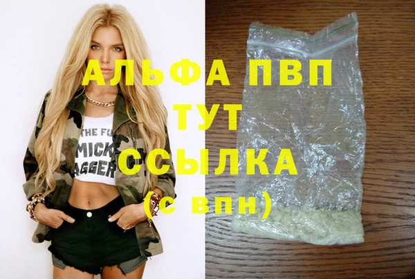 стаф Абинск