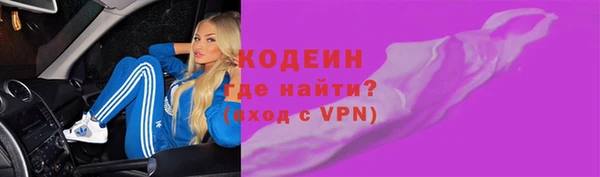 крисы Ельня