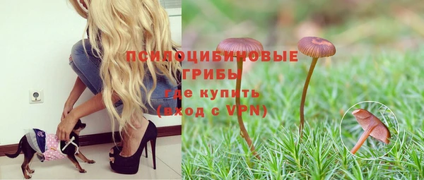 экстази Абаза