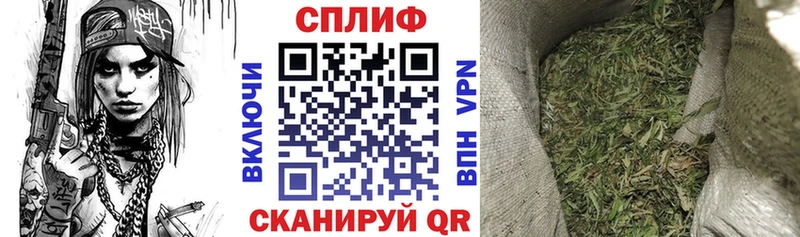 мориарти формула  как найти закладки  Горячеводский  Канабис план 